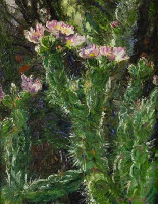 Cholla Blossoms
