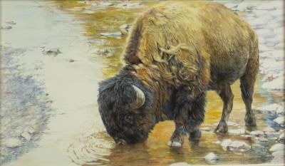 Bison by Marilyn Beth Hughes - Auction record, sale price, and art valuation. Compare with similar artists and explore comparable artworks.