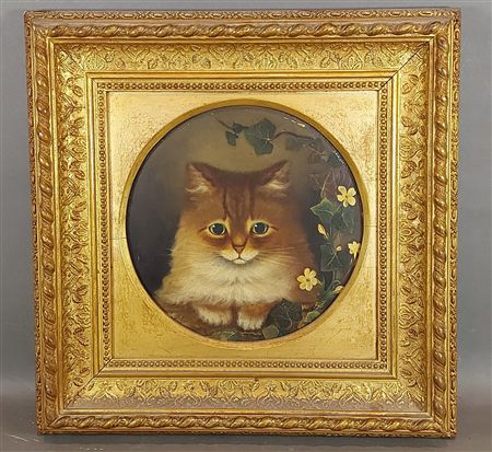 Study of a cat