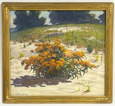 Indiana Dunes "Butterfly Weed"