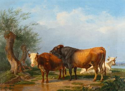 Cows by the water