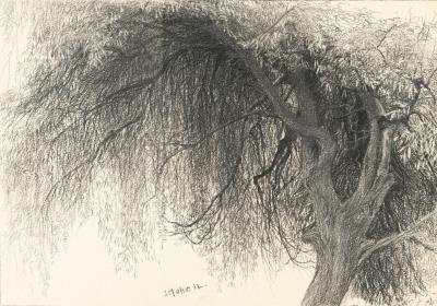 Pollarded willow by Johann Georg Mohr - Auction record, sale price, and art valuation. Compare with similar artists and explore comparable artworks.