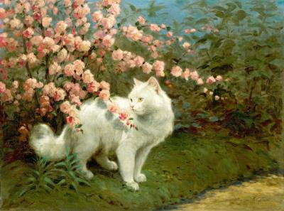 White Kitten Under the Flowering Bush