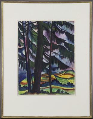 Edge of the forest