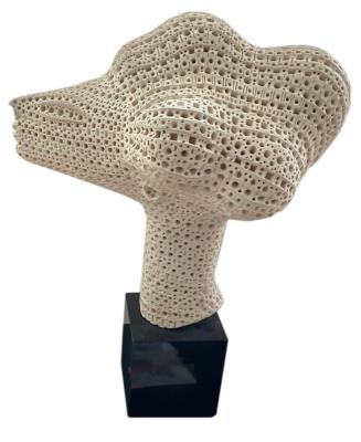 Terra Cotta Sculpture of Head