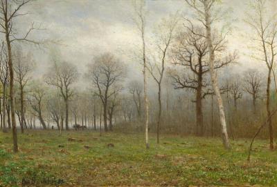 Birches in a grove
