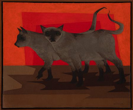 Gatos