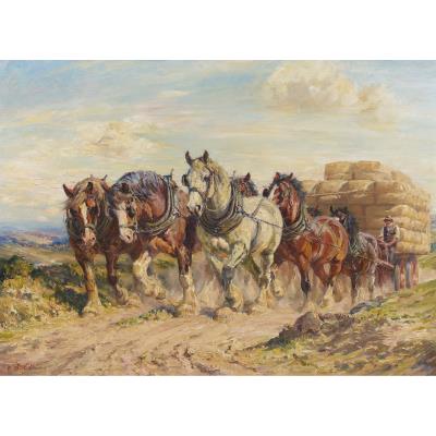 Draught Horses