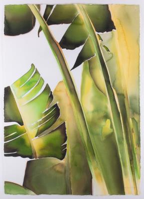 Grand Banana II