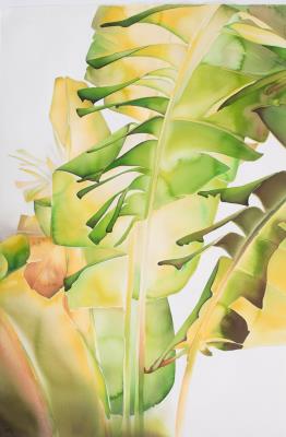 Grand Banana II, 2003