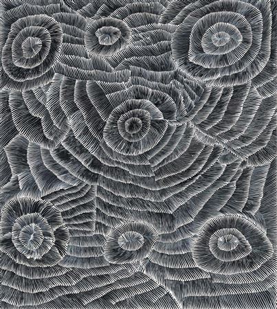 Alhwert Dreaming by Lily Sandover Kngwarreye - Auction record, sale price, and art valuation. Compare with similar artists and explore comparable artworks.