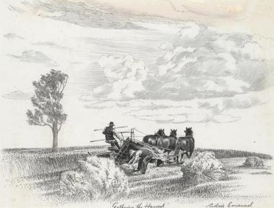 Gathering the Harvest
