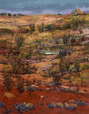 Desert After Rain, Lake Eyre