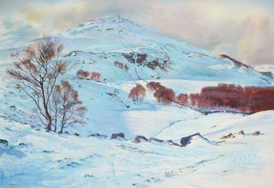 MOUNT BLAIR, GLENISLA