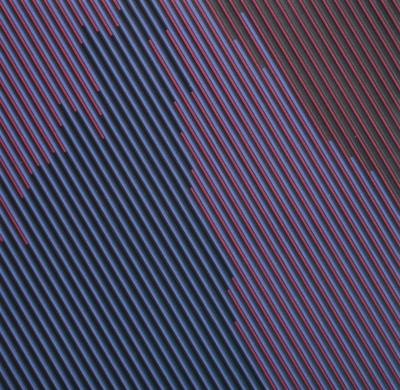 Fragment 451, 2021