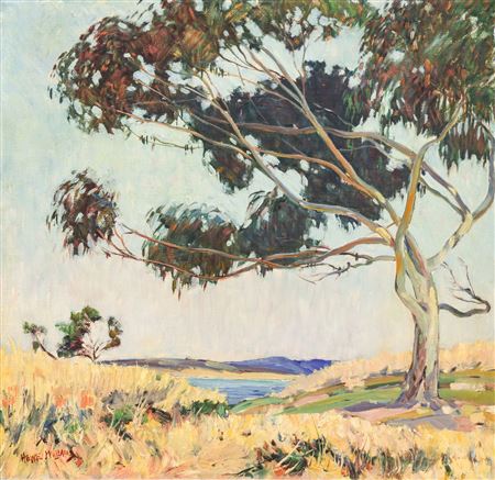 "California Landscape"