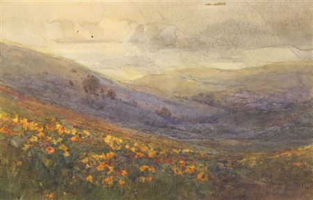 "California Wildflowers' 1911