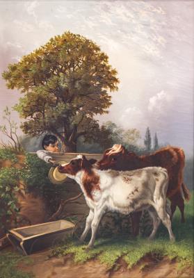 The Young Calf