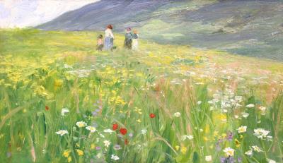 Summer Meadow