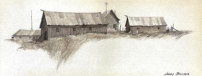 Homestead in the Meadow
