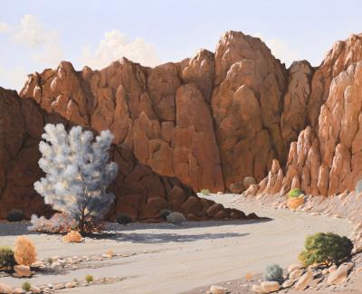 Desert Landscape