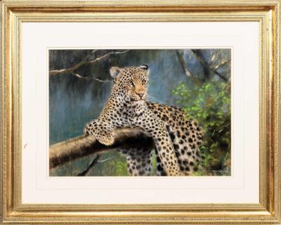 Leopard
