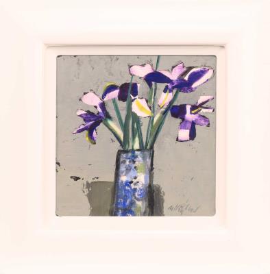 Iris
