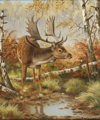 Fallow Deer at the Watering Place