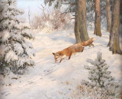 Fox in Winter Landscape