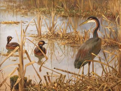 Waterbirds in the Reed by Friedrich Reimann - Auction record, sale price, and art valuation. Compare with similar artists and explore comparable artworks.