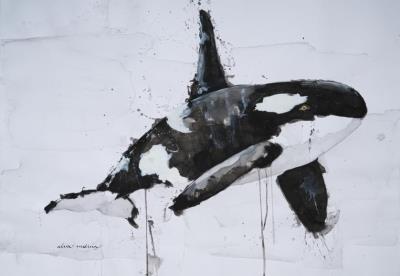Orca wake up