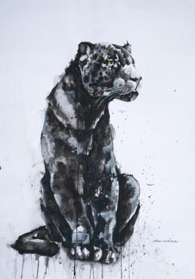 Artwork by Andrés Medina