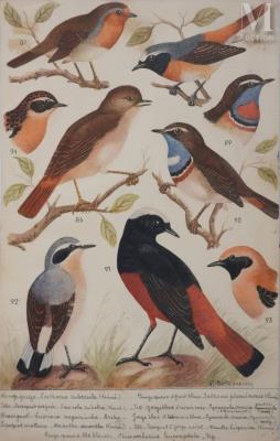 Ornithological plate: robin, nightingale and redstart, 1959