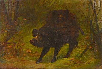 The two wild boars on the lookout