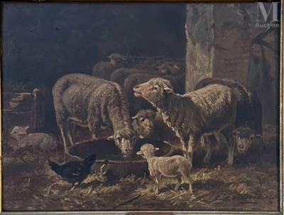 Sheep in the sheepfold