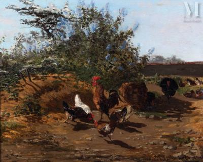 Chickens, rooster and turkey