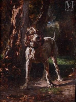 Hunting dog