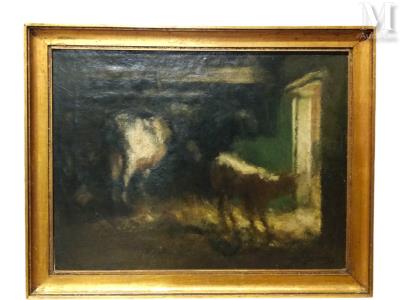 Cow and calf
