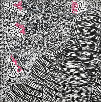 Pikilyi Jukurrpa (Vaughan Springs Dreaming)