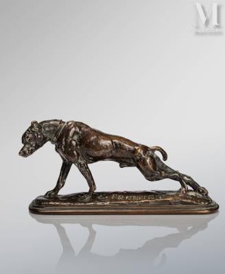 Dogue s'étirant