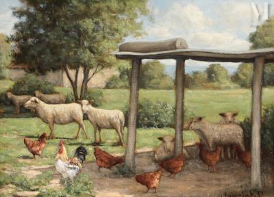 Sheep and chickens