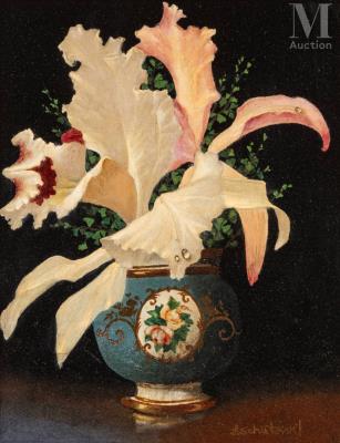 Orchid