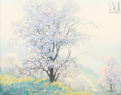 Apple trees in bloom above the Seine valley