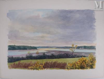 Brittany, Morbihan landscape