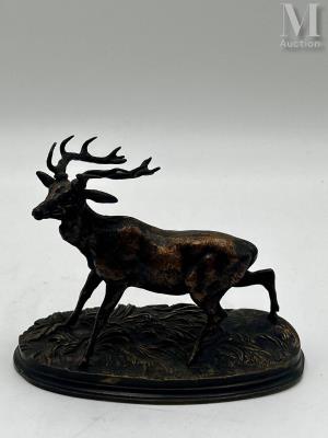 Stag