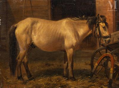 Horses in the Stable