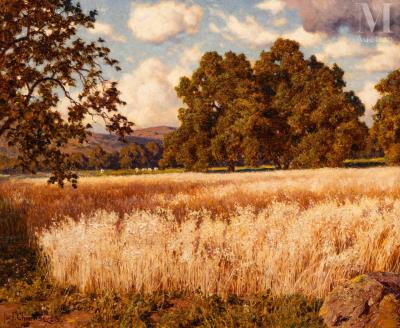 Wheat Fields