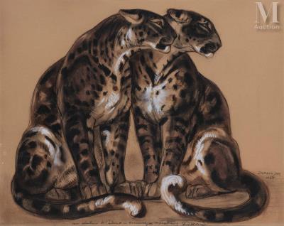 Panthers