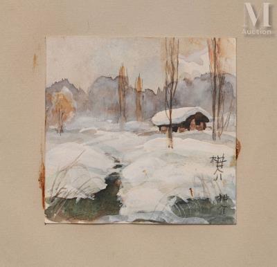 House under the snow