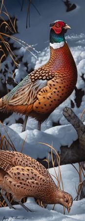 Pheasant Pair